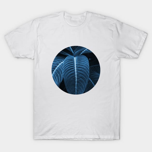 Leaf me alone 01 T-Shirt by froileinjuno